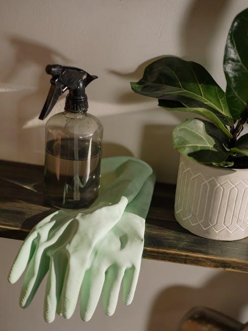 Tips on incorporating eco-friendly cleaning‌ into your everyday life