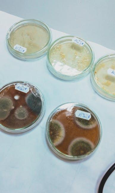 How Mold Grows and Why‍ It Matters to Your Home