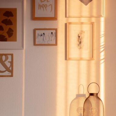 Top 5 Eco-Friendly Cleaning Products You Need in Your Home