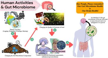 Easy ⁣Steps to Create a Microbiome-Balanced Environment