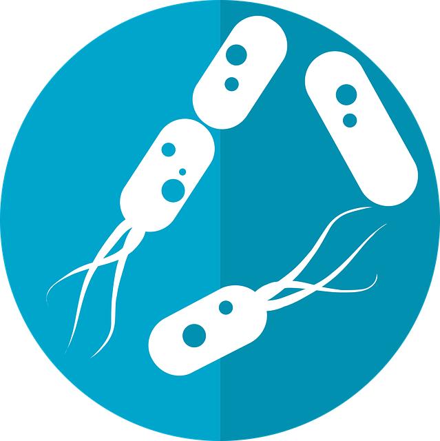 Understanding the Microbiome: Why⁣ It Matters ⁤for Your Family’s Health