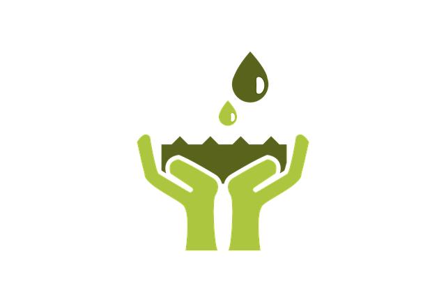 Real-life‌ testimonials: how switching to eco-friendly made a difference