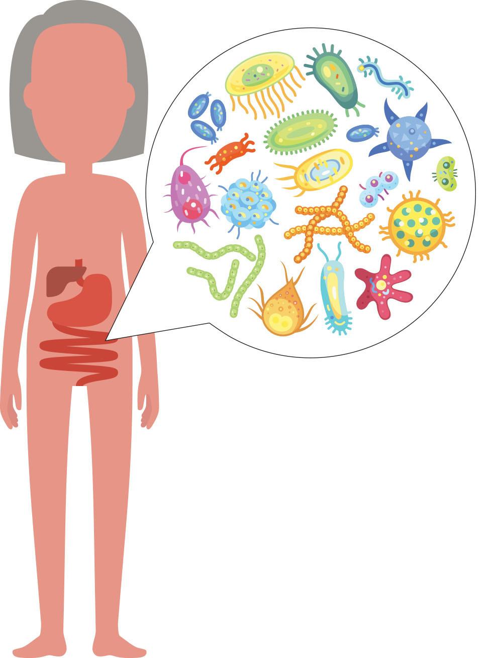 The Connection Between ​a Healthy Microbiome and ​Mental‌ Health