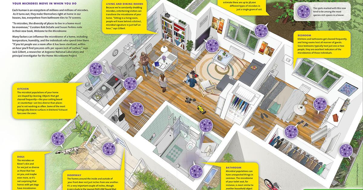 Simple Ways to ‍Enhance Your Home Microbiome