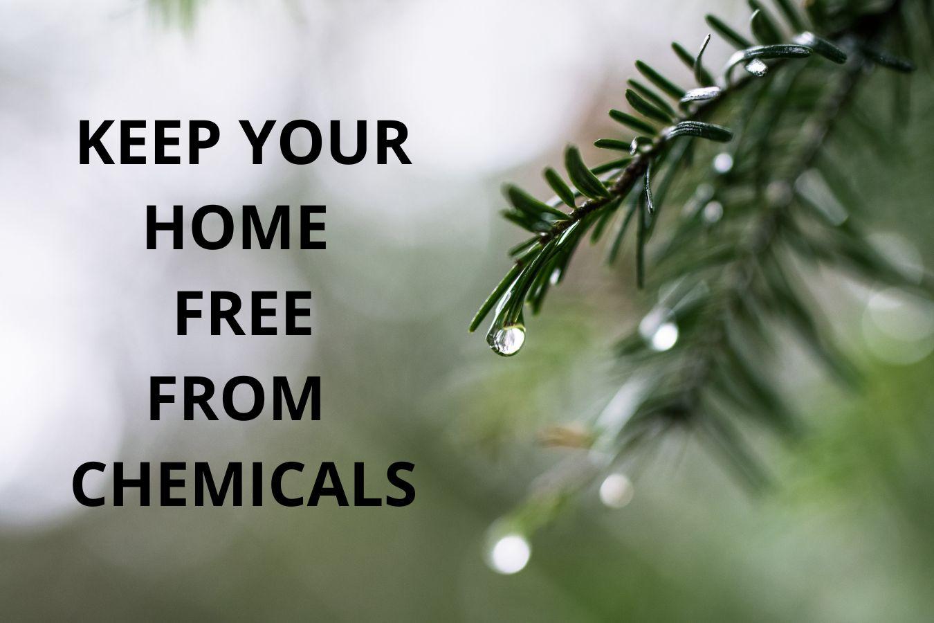 Creating ‌a ‌Chemical-Free Home: Tips from Eco-Warriors