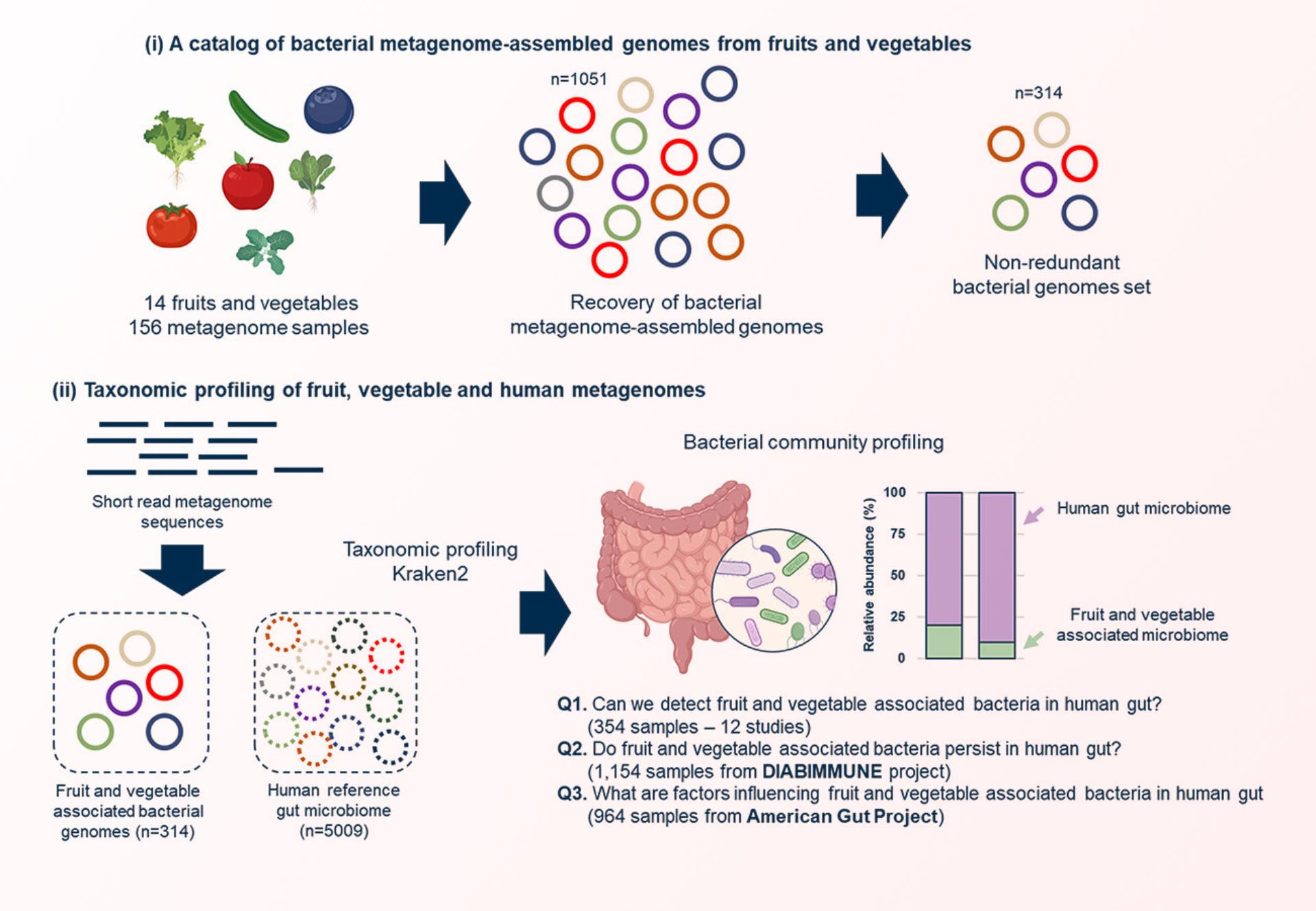 Exploring the Impact of Microbiome ​Diversity on Well-Being