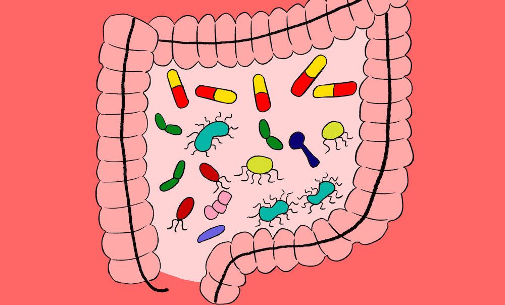 Real Family Stories: Transforming Health Through Microbiome Awareness